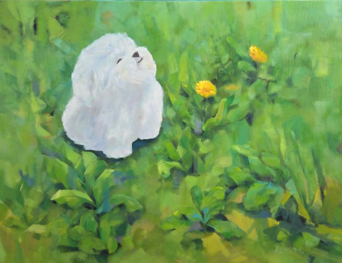 신민경작