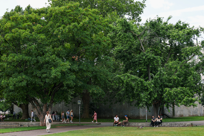 독일 슈투트가르트 상부 궁정정원(Oberer Schlossgarten)에서 일상의 휴식을 즐기는 시민들. 이수화 기자