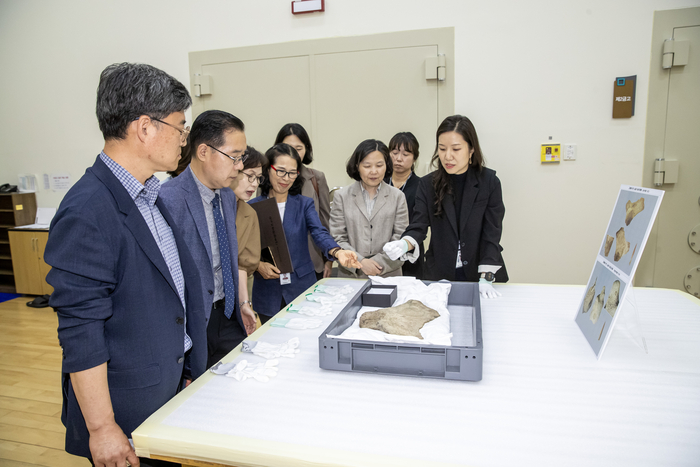 15일 울산박물관에서 국가유산청이 직접 참여하는 ‘고래뼈에 박힌 사슴뿔 작살촉’ 국가민속문화유산 지정서 전달식이 개최된 가운데 울산시 문화관광체육국장을 비롯한 관계자들이 고래뼈에 박힌 사슴뿔 작살촉을 살펴보고 있다. 울산시 제공