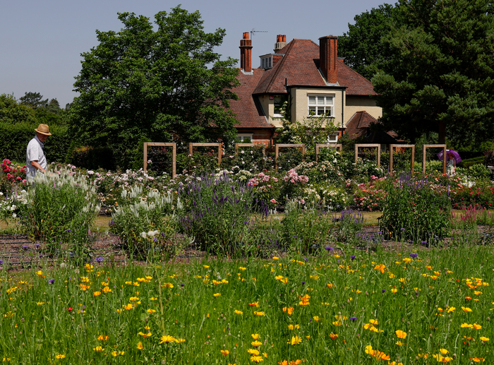 영국왕립원예협회(RHS, Royal Horticultural Society)가 운영하는 위즐리 가든(RHS Garden Wisley)은 런던 남서쪽 서리주에 위치한 영국 최대 규모이자 가장 오래된 대표 정원이다. 이수화 기자