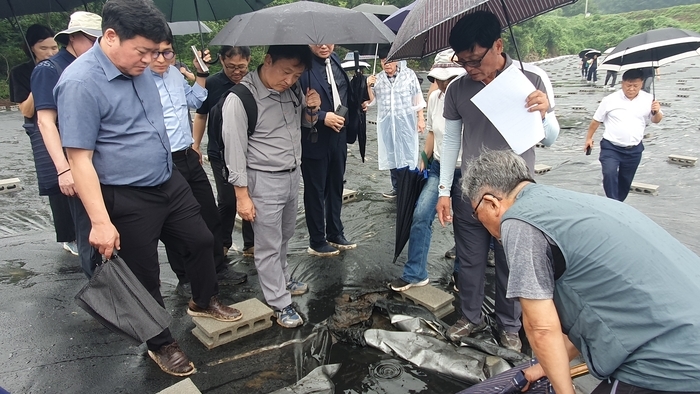 기후에너지환경부가 지난 8월 21일 울산 울주군 두서면 내와리 불법 폐기물 매립지 현장을 찾아 둘러보고 있다. 울산환경운동연합 제공