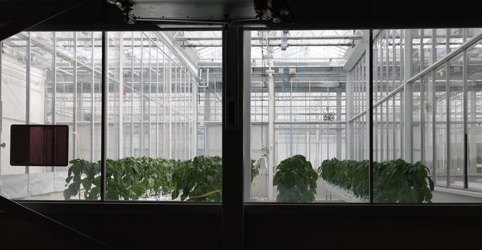 네덜란드 월드호티센터(World Horti Center) 연구동에서는 이중 온실 구조를 이용한 기후변화에 따른 농작물 재배 연구 등을 진행하고 있다. 이수화 기자
