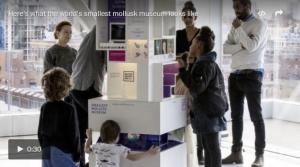 [Video] The creators of the world's smallest mollusk museum have giant ambitions