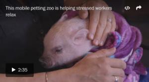 [Video] Petting zoos at the office are the latest perk for stressed-out employees