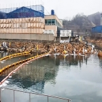울산 울주군 온산읍 인근 송유관 균열로 에쓰오일 원유 8,000ℓ 유출