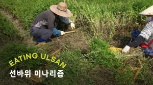울산 명물 선바위 미나리즙 만들기 / [잇힝울산, Eating Ulsan] Ulsan Seonbawi Rock water parsley juice