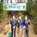롯데이네오스화학 '탄소중립 편백나무 심기'