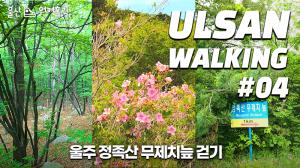 [4K vlog] 울산의 아마존서 숲멍 풀멍 즐기고 왔습니다🌲🌳🌴 울주 무제치늪 걷기 [울산 워커홀릭, Ulsan Walkaholic]｜walk with me
