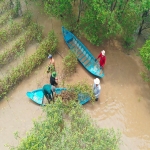 SK이노베이션, 베트남 맹그로브숲 복원 위해 1억 기부