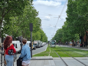 [기획] 차세대 교통수단  ‘트램’  2. 프랑스 파리 - ‘녹색융단’ 위로 여유가 달린다