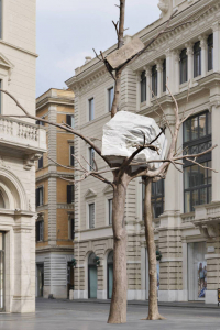 <오나경의 21세기 미술관> 주세페 페노네'돌 잎사귀(Foglie di Pietra)'