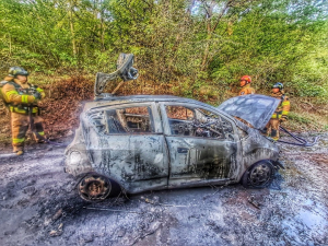 울산 남구 선암호수공원서 주차된 차량 화재... 인명피해 없어