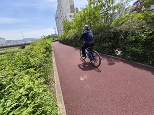 동천강변 자전거길 ‘움푹’…선사고 후처리 ‘뒷북행정’?