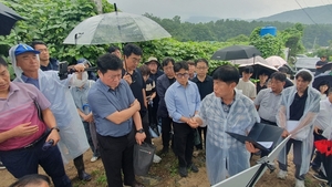 기후에너지환경부, 울산 내와리 불법 폐기물 매립지 현장 점검