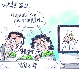 대책은 없고