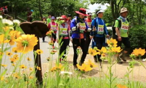 2013 남구사랑 솔마루길 걷기대회